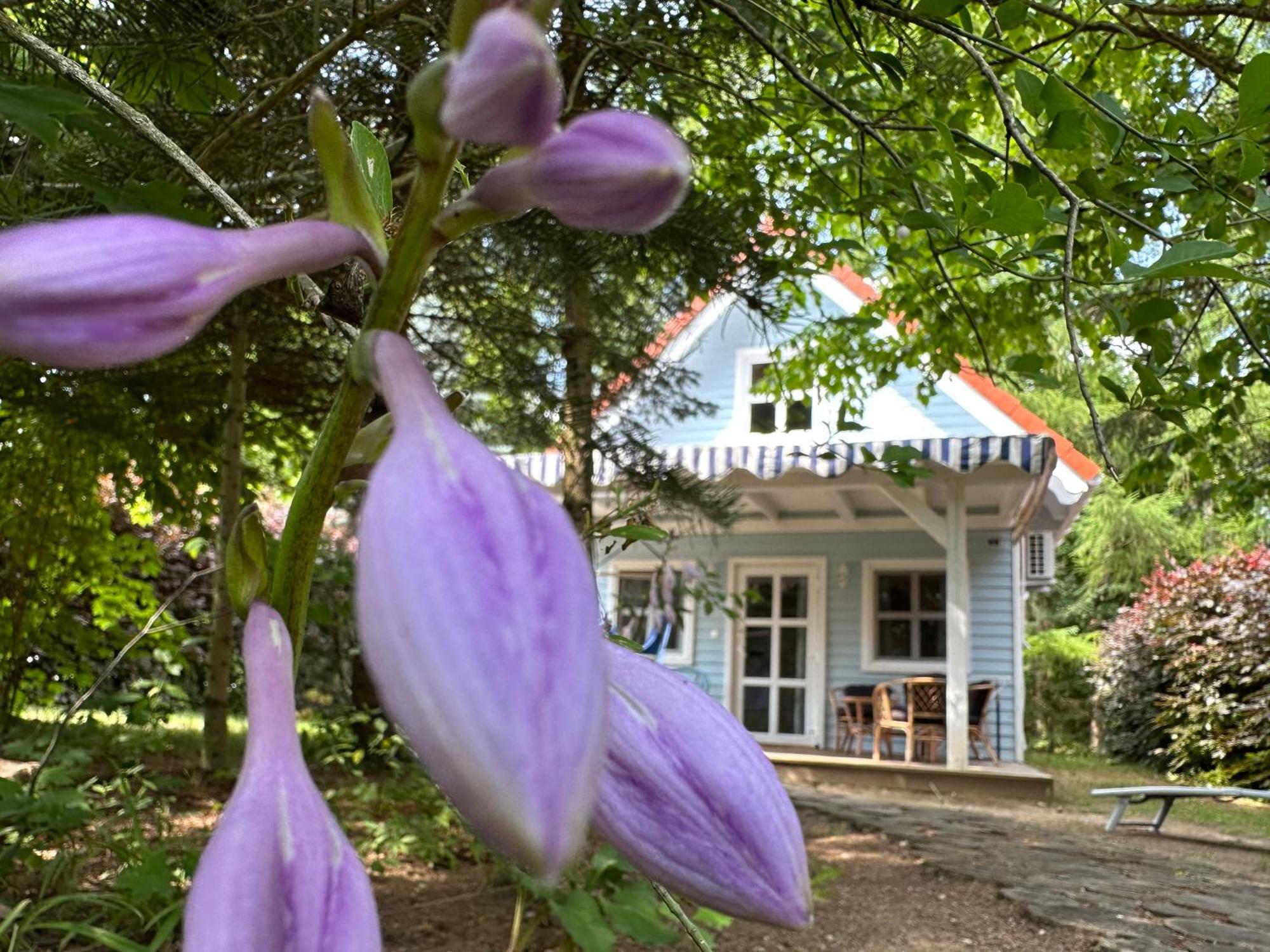 Kwiat Paproci Ryn (Warmian-Masurian) Exterior foto